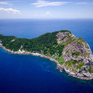 Snake Island wallpaper