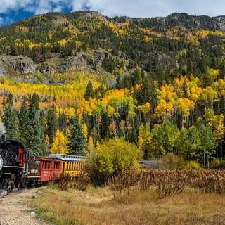 Autumn train rides wallpaper