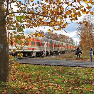 Autumn train rides wallpaper