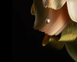 Samsung Galaxy W23 Flip wallpaper