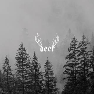 Aesthetic grey winter wallpaper