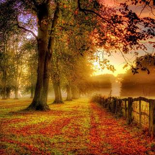 Fall Thanksgiving computer wallpaper