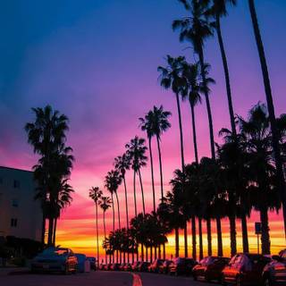 Kawaii sunset winter wallpaper