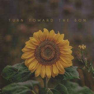 Flower with message wallpaper