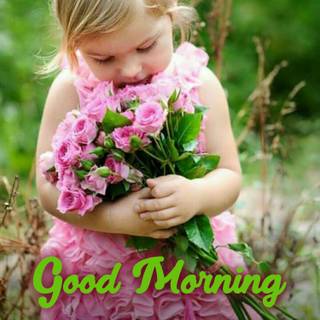 Flower with message wallpaper