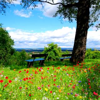 Dream place wallpaper