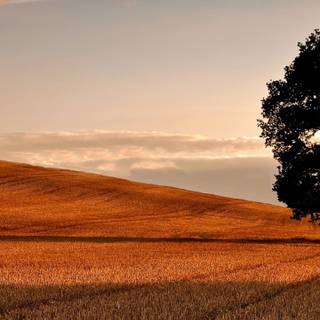 Autumn sunsets wallpaper