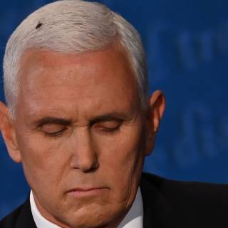 Mike Pence wallpaper