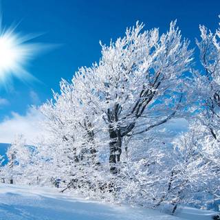 Winter snow 1920x1080 wallpaper