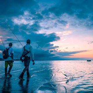 Fishing rods wallpaper