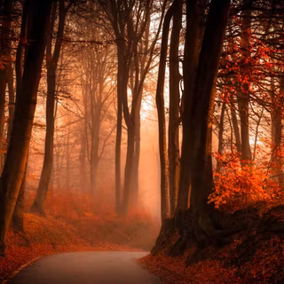 4k autumn scenery wallpaper