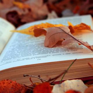 Autumn book computer wallpaper
