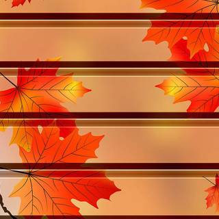 Autumn butterfly wallpaper