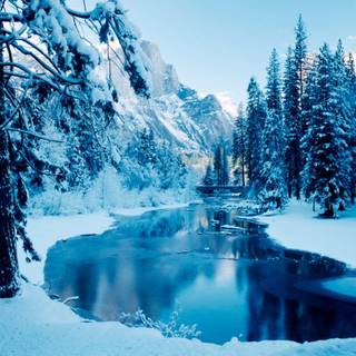 Nature winter PC wallpaper