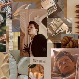 Tom Holland computer wallpaper