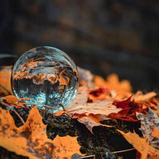 Autumn glass art wallpaper