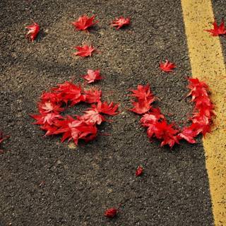 Autumn lovers wallpaper