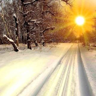 Winter morning sun wallpaper