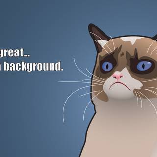 Funny kitty wallpaper