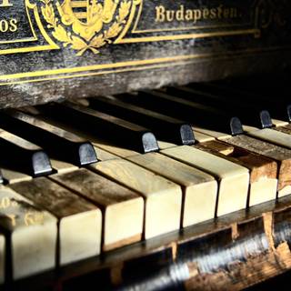 Band instruments wallpaper