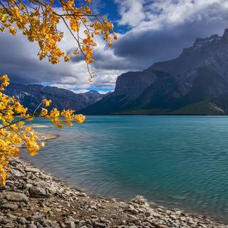 Lake Minnewanka Alberta wallpaper