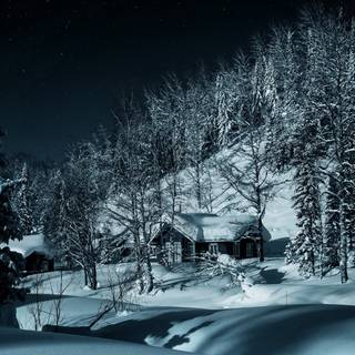 Winter dark snow wallpaper