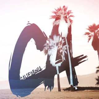 California palm trees wallpaper