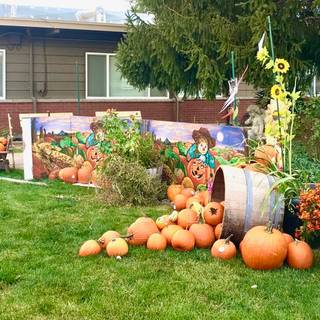 Autumn bounty wallpaper