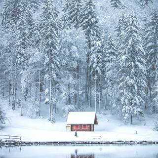 iPhone winter cozy wallpaper