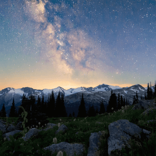 Winter night landscape wallpaper