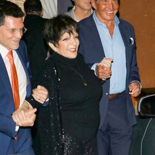 Liza Minnelli wallpaper