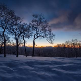 4k dark winter wallpaper