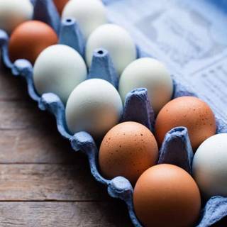 Fresh eggs wallpaper