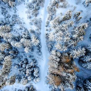 Drone winter road wallpaper