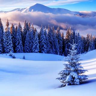 Winter 4k Mac wallpaper