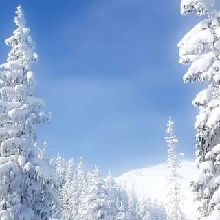 4k snow phone wallpaper