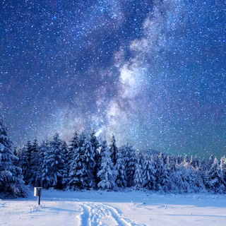 Winter forest mobile wallpaper