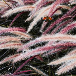 4k phone vertical wallpaper