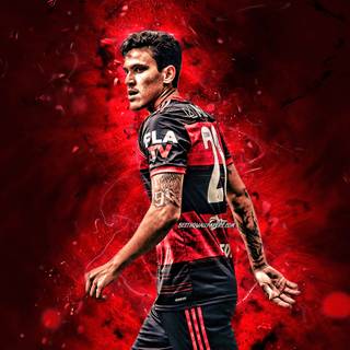 Pedro Flamengo wallpaper