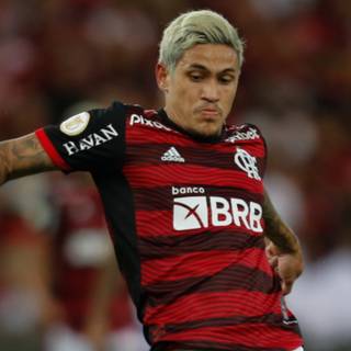 Pedro Flamengo wallpaper