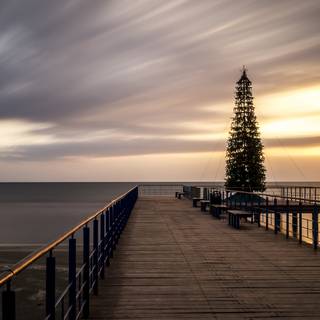 Christmas tree sunset wallpaper