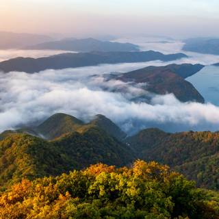 Autumn forest mountain fog wallpaper