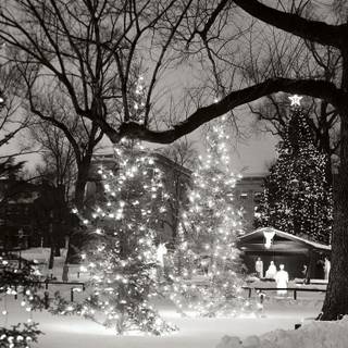 Black decoration Christmas wallpaper