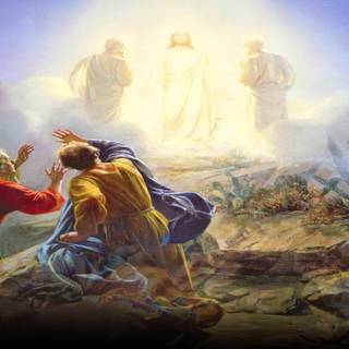 Transfiguration wallpaper