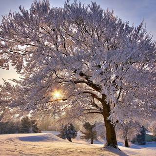 Winter country 4k wallpaper