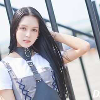 Chanty Lapillus wallpaper