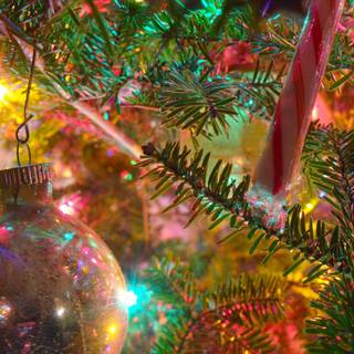 Free Christmas wallpaper for computer desktop