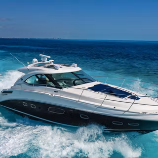 Sea Ray boats wallpaper