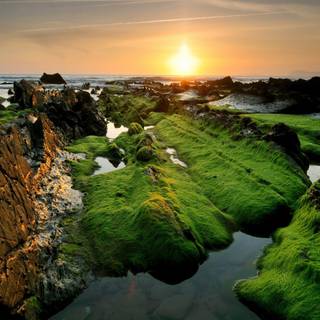 India landscape wallpaper