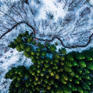 Drone winter wallpaper